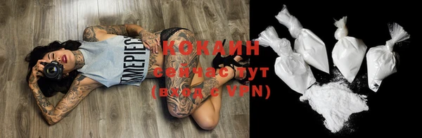 прущие грибы Кинешма