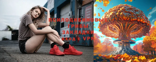 прущие грибы Кинешма