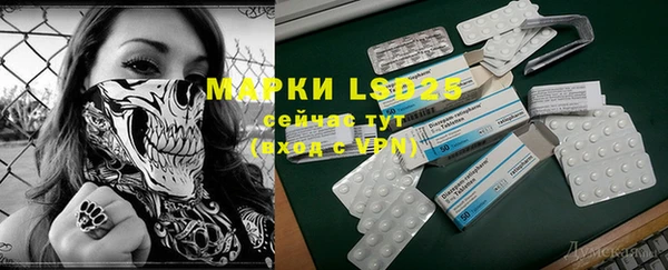 прущие грибы Кинешма