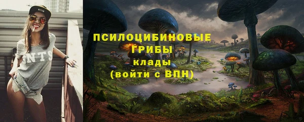 прущие грибы Кинешма