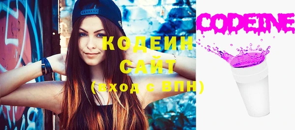 прущие грибы Кинешма