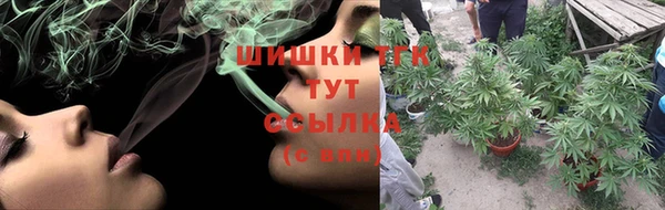 прущие грибы Кинешма