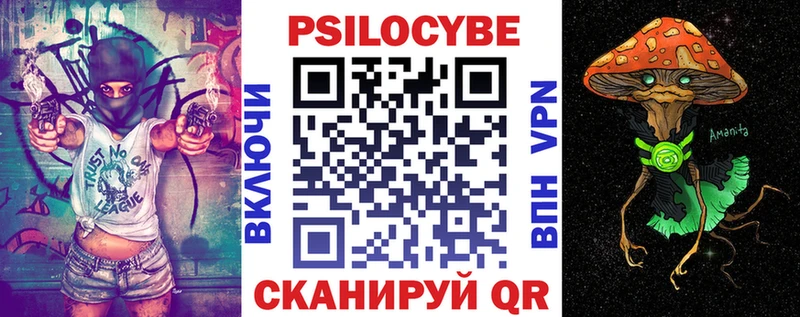 Купить  Гагарин  Псилоцибиновые грибы прущие грибы 